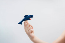 Boy Playing Finger Toy Figure Of Animal. Shark Figure  Put On Finger Of Child Hand, Puppet Theatre.