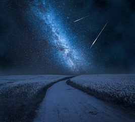 Wall Mural - milky way over country road and rape field in summer.