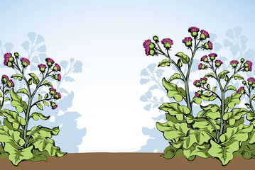 Poster - Big blooming burdock. Vector drawing