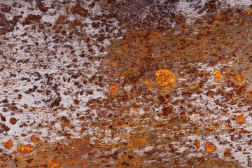 Poster - metal wall with rust. steel surface with corrosion