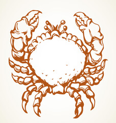 Wall Mural - Big sea crab. Vector drawing