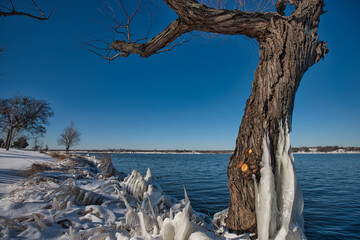 Wall Mural - Snow at White Rock Lake, Dallas, Texas.