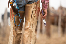 Close Up Of Cowboy Preparing To Vaccinate Calf On The Beef Cattle Ranch