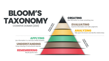 taxonomy pyramid triangle concept is a cognitive domain vector illustration for analyzing hierarchy 