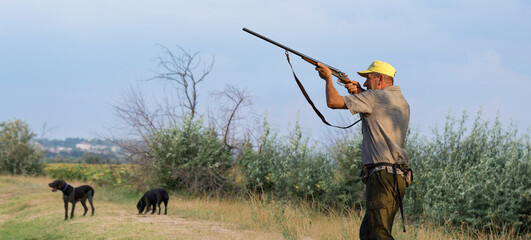 Wall Mural - Hunter man in camouflage with a gun during the hunt in search of wild birds or game. Autumn hunting season.