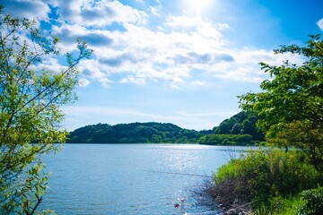 Sticker - lake and forest