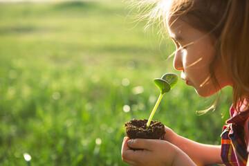 Young green sprout in the hands of a child in the light of the sun on a background of green grass. Natural seedlings, eco-friendly, new life, youth. The concept of development, peace, care. Copy space