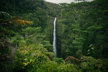 Scenic View Of A Waterfall In The Green Lush  Tropical Jungle