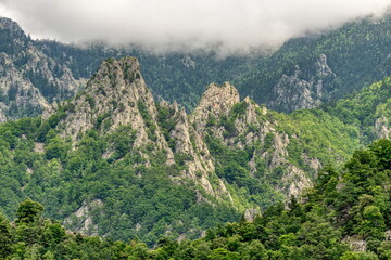 Wall Mural - Pyrenees Mountains in France with a scenery taken in Casteil South of France