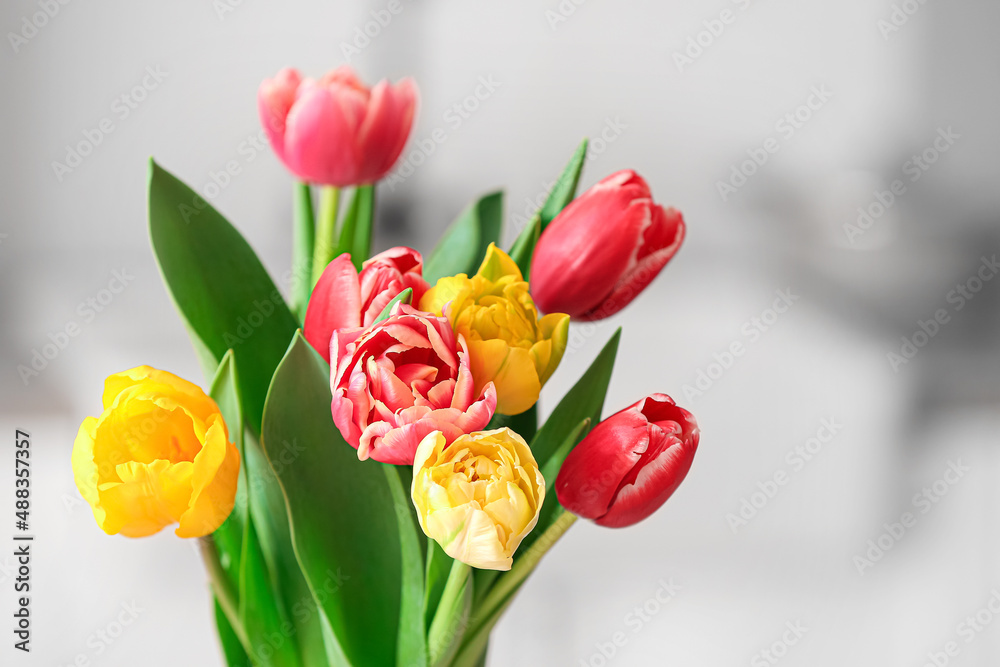 Bouquet of tulips on light background, closeup