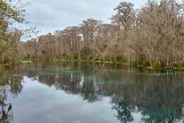 Wall Mural - View of the Silver River from a hiking trail in Silver Springs State Park, located near Ocala, Florida