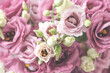 canvas print picture - Eustoma in rosa/pink, close up, grün Touch