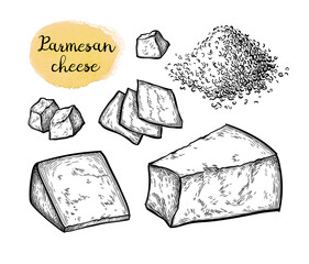 Canvas Print - parmesan cheese ink sketch.