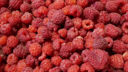 Wall Mural - heap of fresh tasty raspberry as textured background, top view