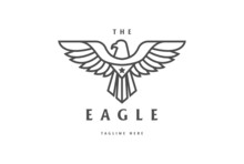 Strong Eagle Hawk Falcon Line Outline Badge Emblem Logo Design Vector