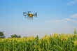 © tonefotografia - Agriculture drone flying and spraying fertilizer and pesticide over farmland,High technology innovations and smart farming