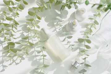 Wall Mural - Cosmetic bottle containers packaging with green herbal leaves in shadow and light effect, Blank label for organic branding mock-up, Natural skincare beauty product concept.