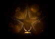 Golden glowing star with laurel wreath, award template on black background.