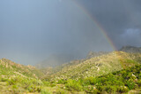 Fototapeta Tęcza - Rainbow over the sonoran desert scenery
