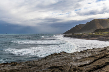 Wall Mural - Cape Palliser coast in New Zealand