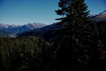 Wall Mural - mountain forest nature landscape fresh air blue sky