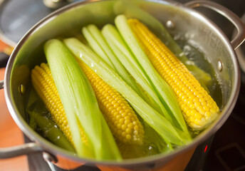 Boiling sweet corn in pot with leaves