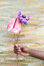 Young Man Holding Flamingo Lily And Purple Flower In Front Of Wall
