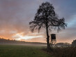 © Westend61 - Silhouette of hunting tower standing under single tree at foggy dusk