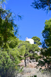Fototapeta Desenie - Low angle view of La Magdalena Hermitage access among Pine trees on a sunny day and blue sky