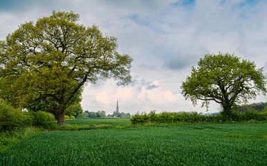 Wall Mural - Agricultural landscape with wheat field flanked by trees under cloudy sky. South Dalton, UK.