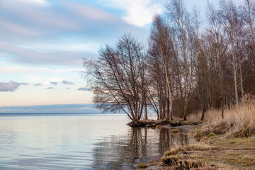 Wall Mural - winter landscape on the beach in Puck