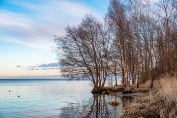 Wall Mural - winter landscape on the beach in Puck