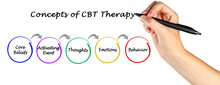 Presenting Concepts Of CBT Therapy