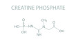 Creatine phosphate molecular skeletal chemical formula.	