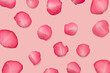 © Mi_Lara - Rose petals on a pink background. View from above. Background, romance.