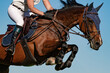 Horse Jumping, Equestrian Sports, Show Jumping event themed photograph