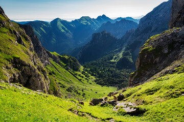 Wall Mural - Wild alpine landscape with rocky mountains, grass and forest at a beautiful summer day. Ammergau Alps, Bavaria, Germany, Europe