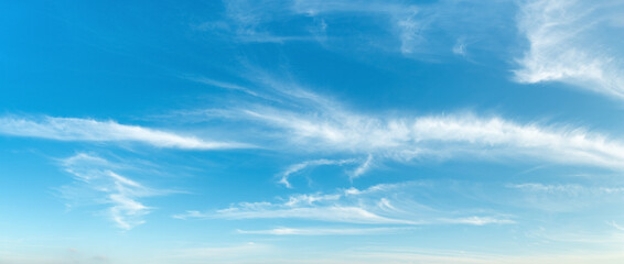 Wall Mural - sparse translucent cirrus clouds high in the clear blue sky. wide panorama of azure heaven with whit