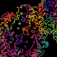 Poster - Bright abstract image in a modern style.