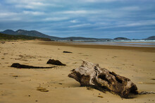 Washed Up Driftwood And Seaweed On A Lonely Beach On Wilsons Promontory, Victoria, Australia
