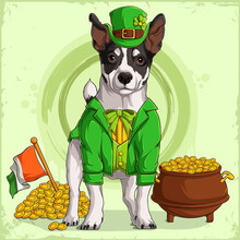 St Patrick's Jack Russell Dog In Leprechaun Hat And Suit With A Pot Of Golden Coins And The Irish Flag