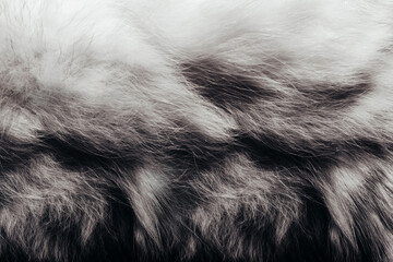 Backdrop close-up photo texture of gray colored and shaded animal fur and hair material.