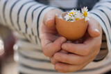 Fototapeta  - Mano sujetando huevo con flores