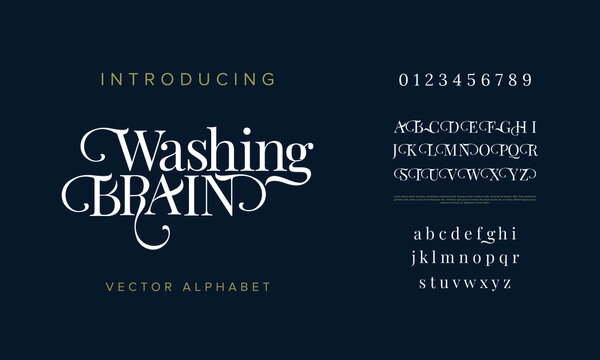 Abstract wedding fashion creative alphabet. Luxury, elegant serif font. Creative vector font