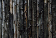 Wooden Bark Texture Wallpaper Background.