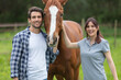 cute couple in field near horses