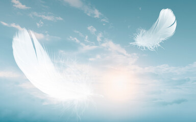 Wall Mural - white bird feathers floating in the sky with clouds. swan feather flying dreamy on heavenly. down fe
