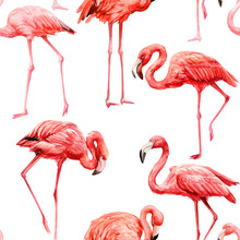 Flamingo Watercolor Painting. Seamless Patterns. Blue Background. Pink Bird