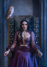 Mythical Fantasy Woman Queen Vamp Sits On Medieval Ancient Throne. Golden Gothic Crown On Head. Elf Girl Princess Evil Face Black Long Hair. Purple Vintage Art Dress. Barn Owl Bird Symbol Wisdom