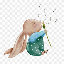 Cute Rabbit Blowing Dandelion Flower Water Colour Hand Paint,Cartoon Hand Drawn Bunny Character Element For Easter Greeting Card, Spring, Summer Poster, Vector Illustration On Transparent Background